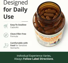 Glucosamine Chondroitin MSM – Joint Support Supplement for Women and Men with Glucosamine Sulfate 1500 mg, Chondroitin and MSM – for Cartilage, Joint Health and Flexibility – 90 Capsules — ảnh 3